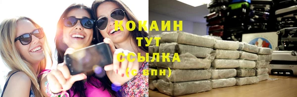 винт Инсар
