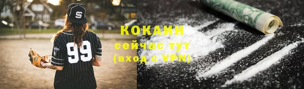 винт Инсар