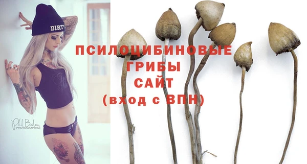 jwh Каменногорск