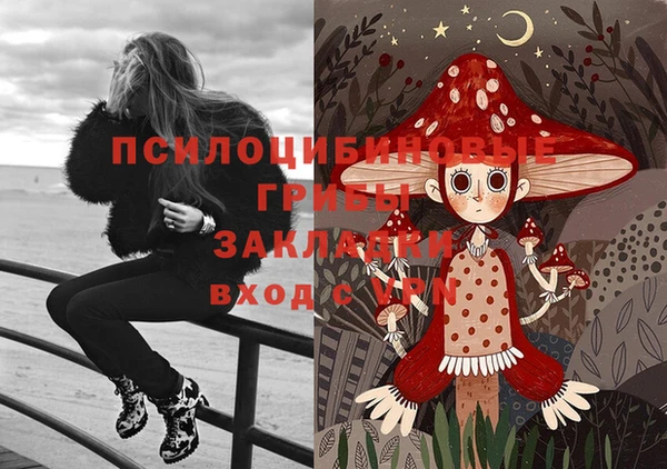jwh Каменногорск