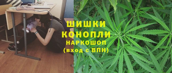 дмт Каменск-Шахтинский