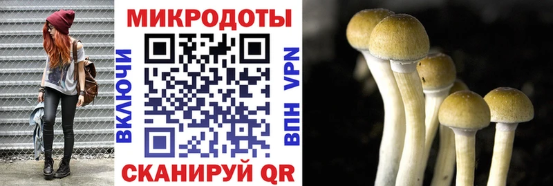 Псилоцибиновые грибы Magic Shrooms  Кириллов 